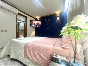 Habitación de lujo con aire acondicionado en condominio privado